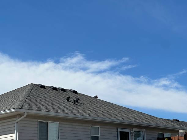Fast & Reliable Emergency Roof Repairs in New Bedford, MA